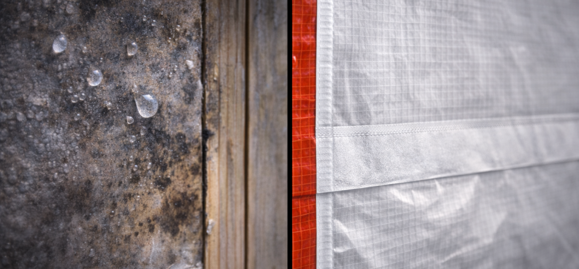 Влага и плесень на стене, а также пластиковая обшивка.