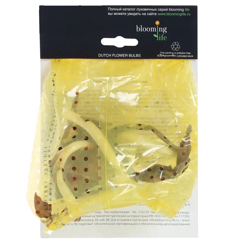 Колхикум киликийский розовый 18+ 1 шт