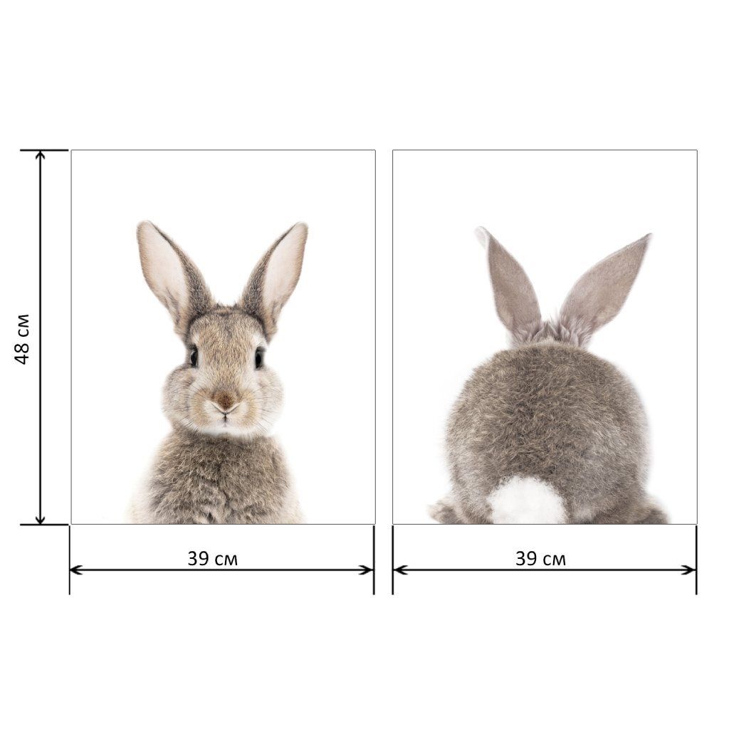 Картина-холст Н-1603H (48*39) Кролик-хвост