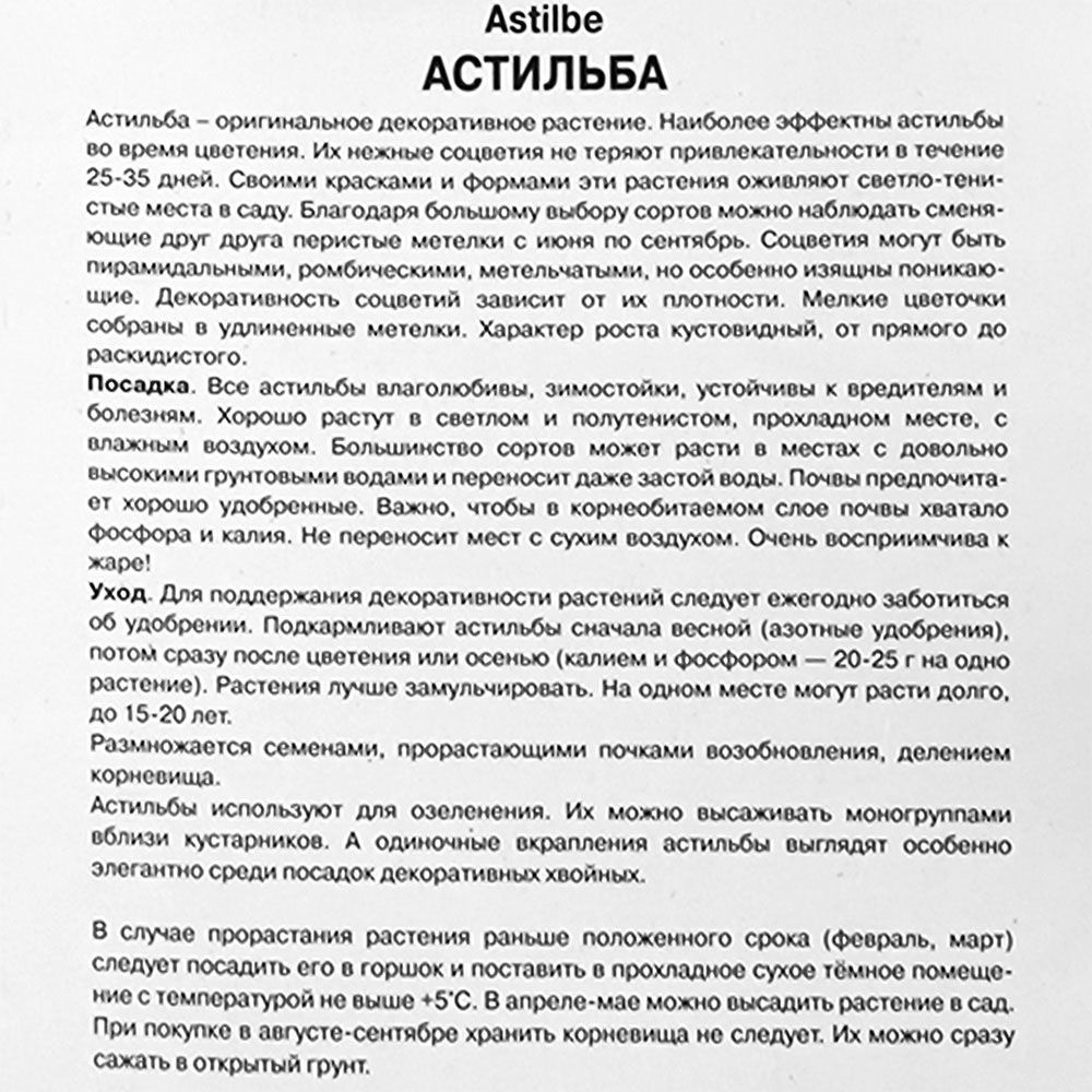 Астильба Арендса Гранат/К