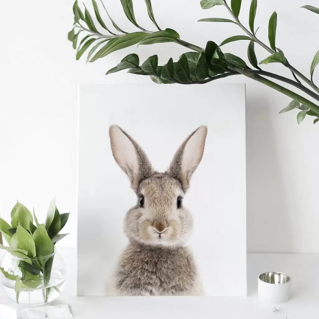 Картина-холст Н-1602S (48*39) Кролик-голова