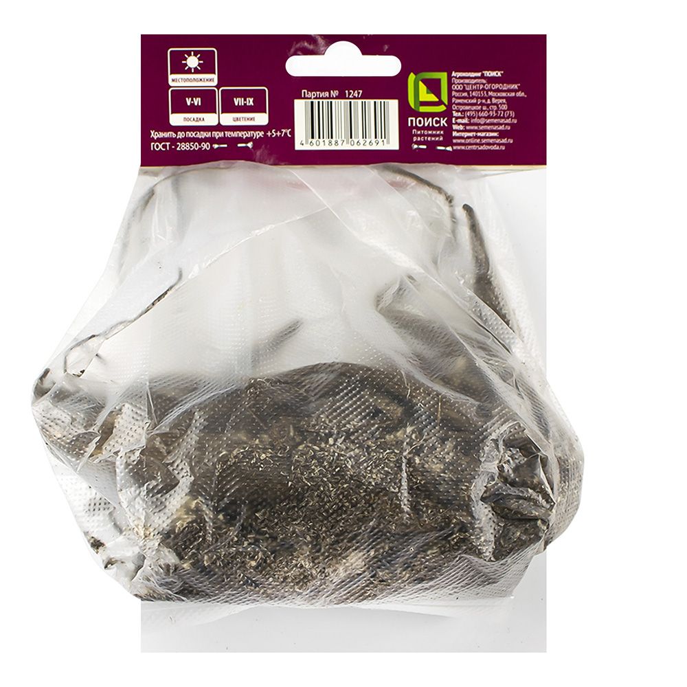 Георгина декоративная Дуэт (тёмно-вишневый с белыми кончиками, 1шт)