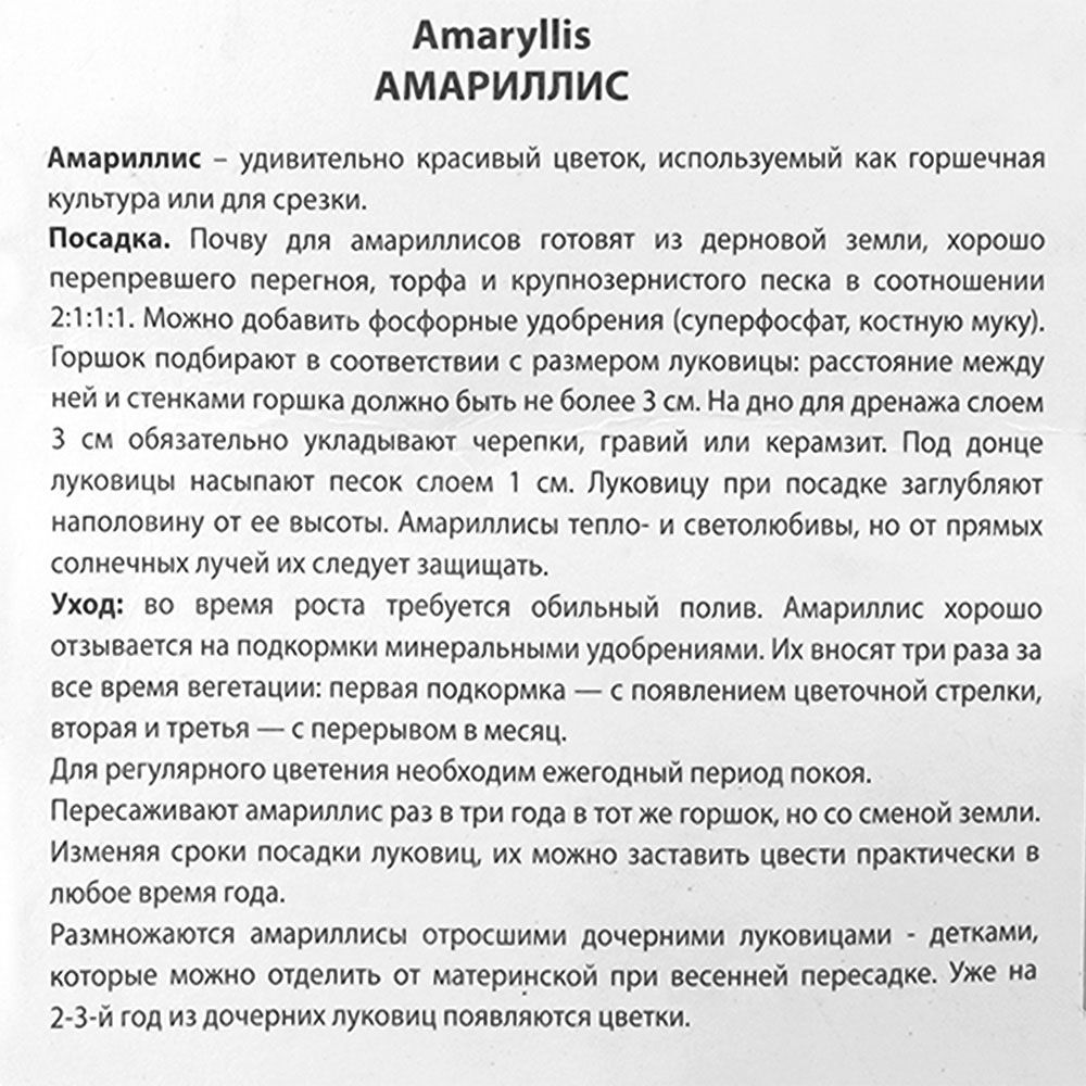 Амариллис махровый Элвас /К