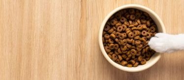 Товары для кошек