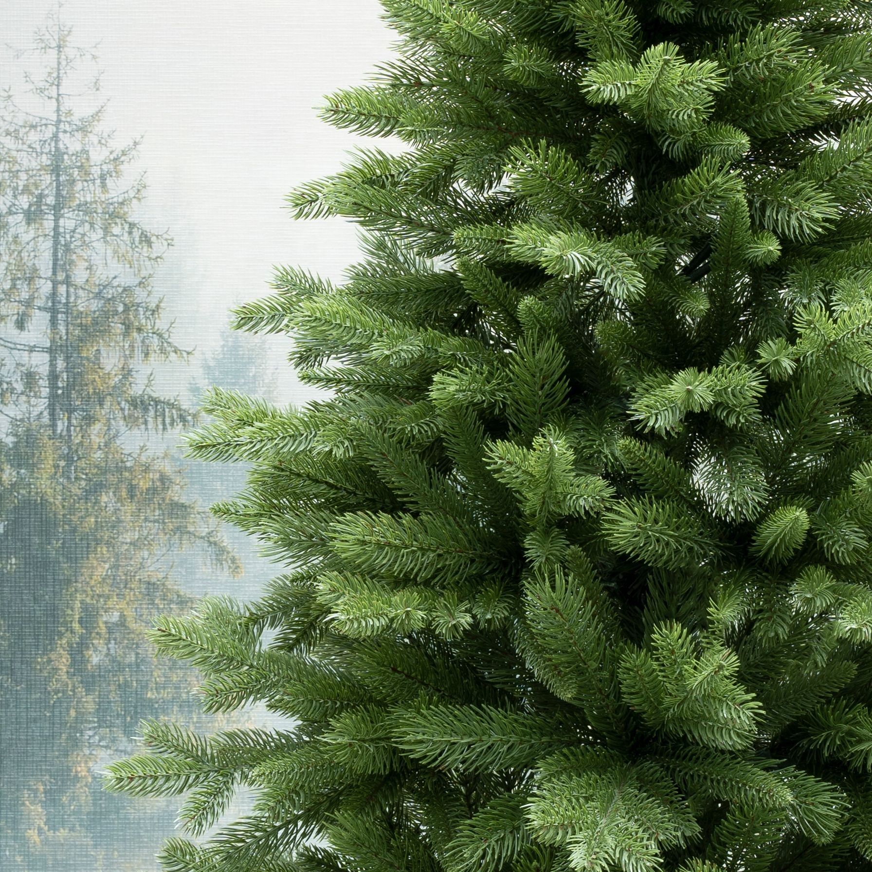 Елка искусственная Моя Елочка Статная 210 см литая 10922-9058