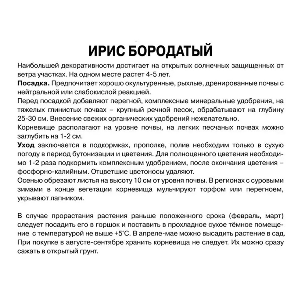 Ирис бородатый Император/К