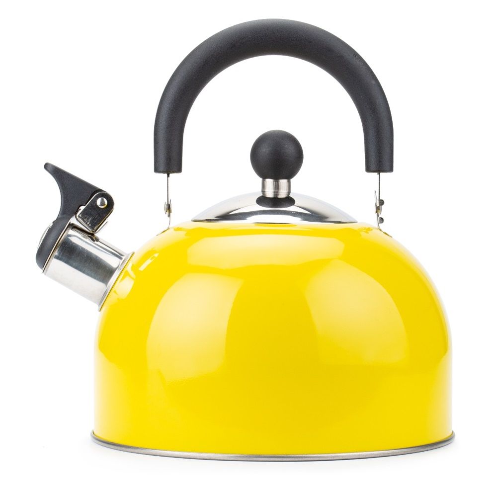 Чайник нержавеющая сталь 2,5 л Color Life