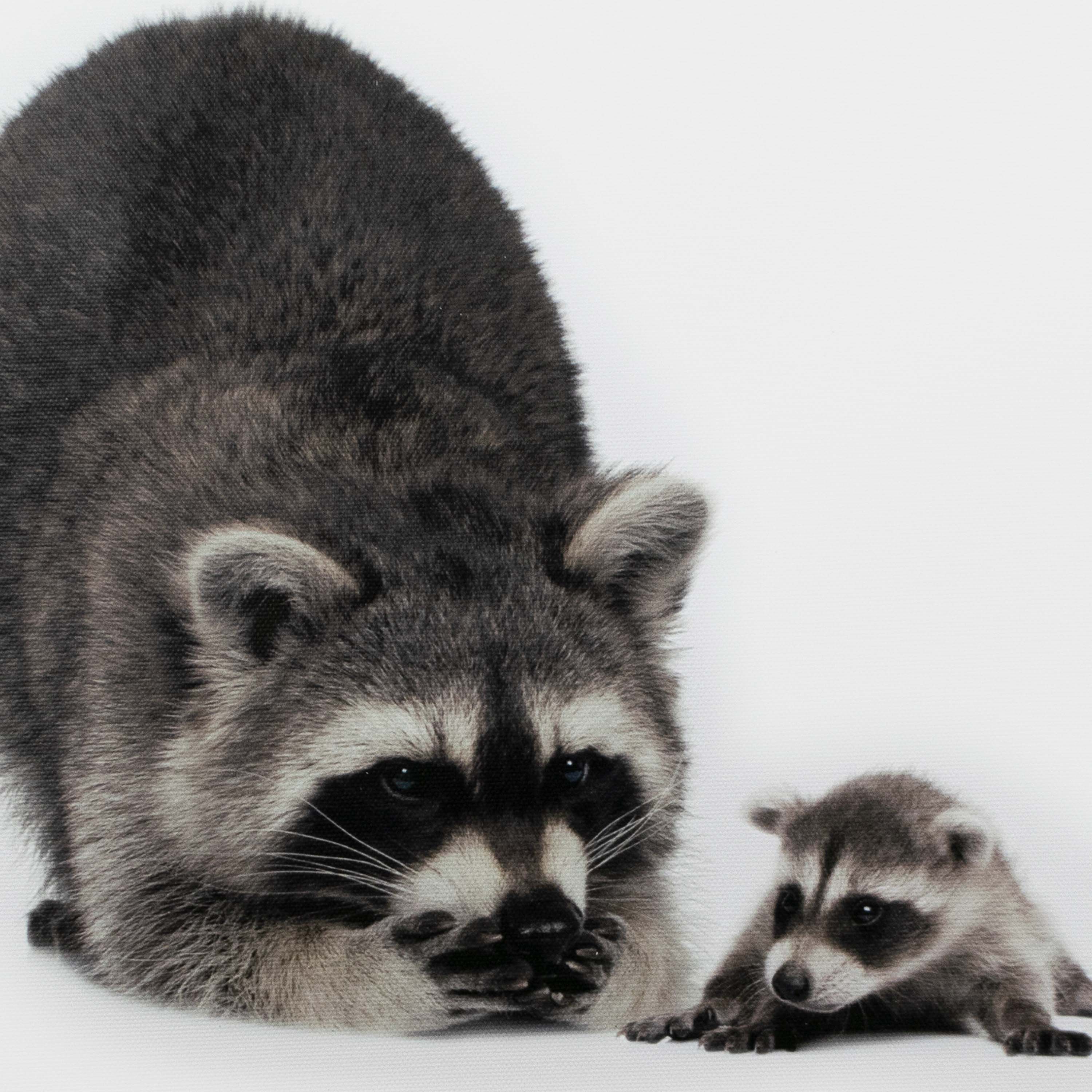 Картина-холст Декоретто Art Еноты 30x30 cм CV 1355