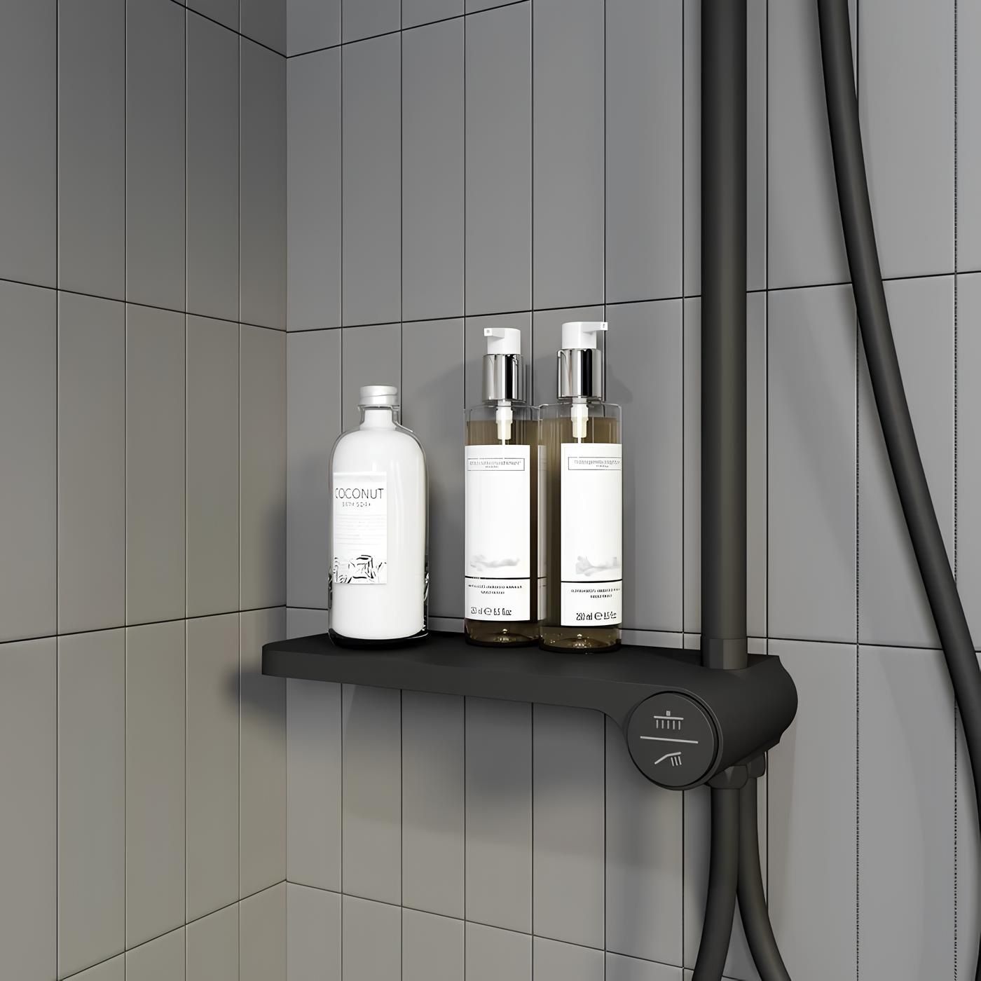 Душевой гарнитур с верхней лейкой Iddis Ray RAYMS3Fi76 черный матовый