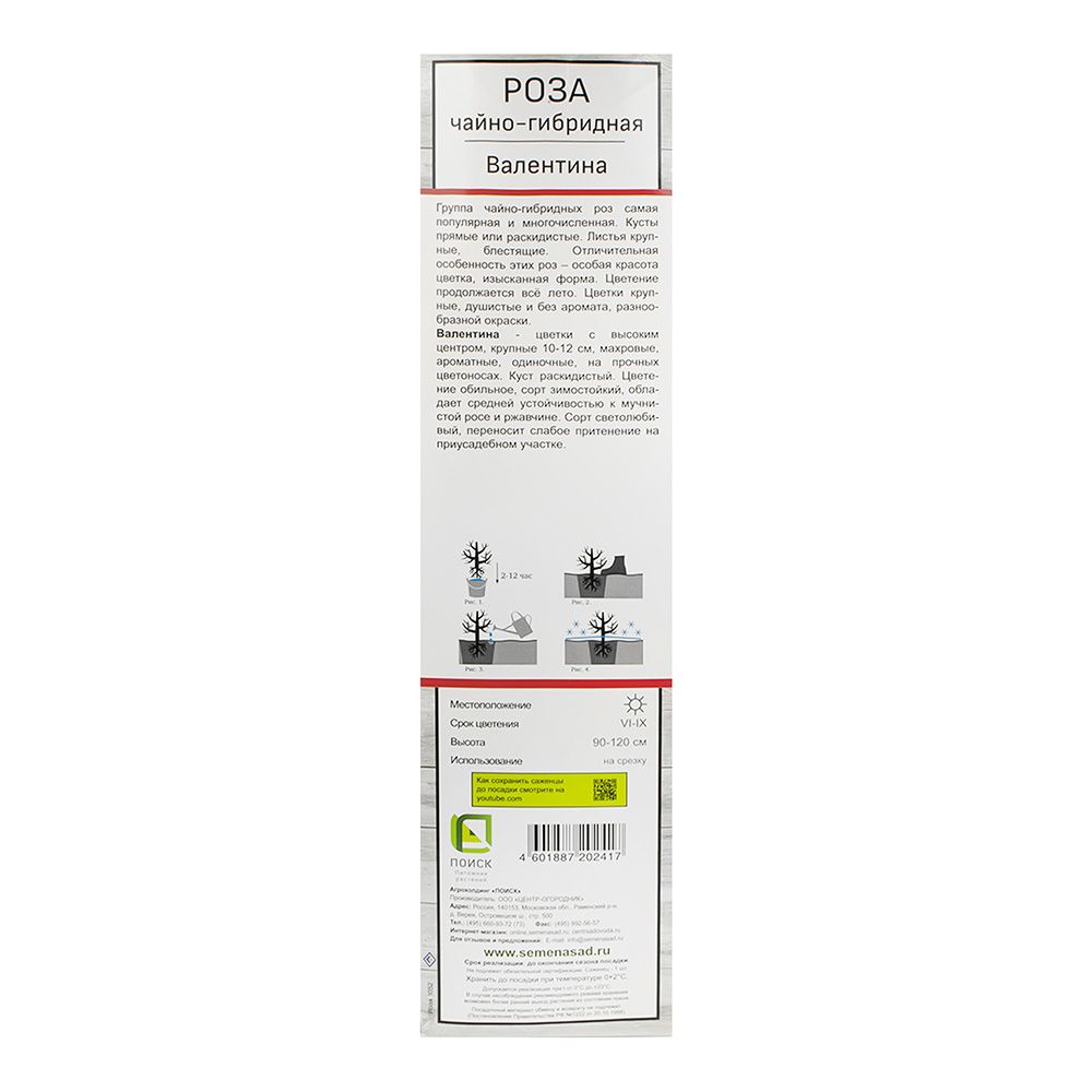 Роза чайно-гибридная Валентина ц/к