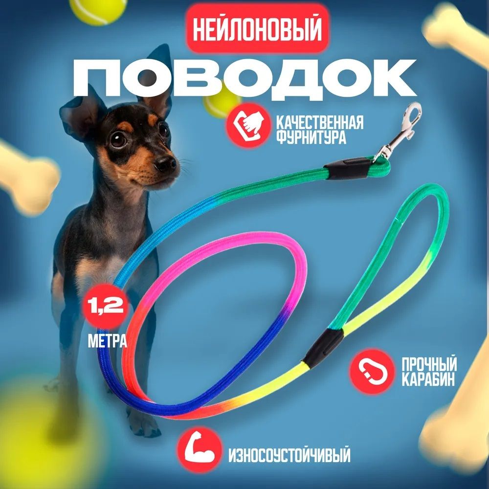 Поводок с карабином нейлоновый Неоновое настроение 120 см Ultramarine