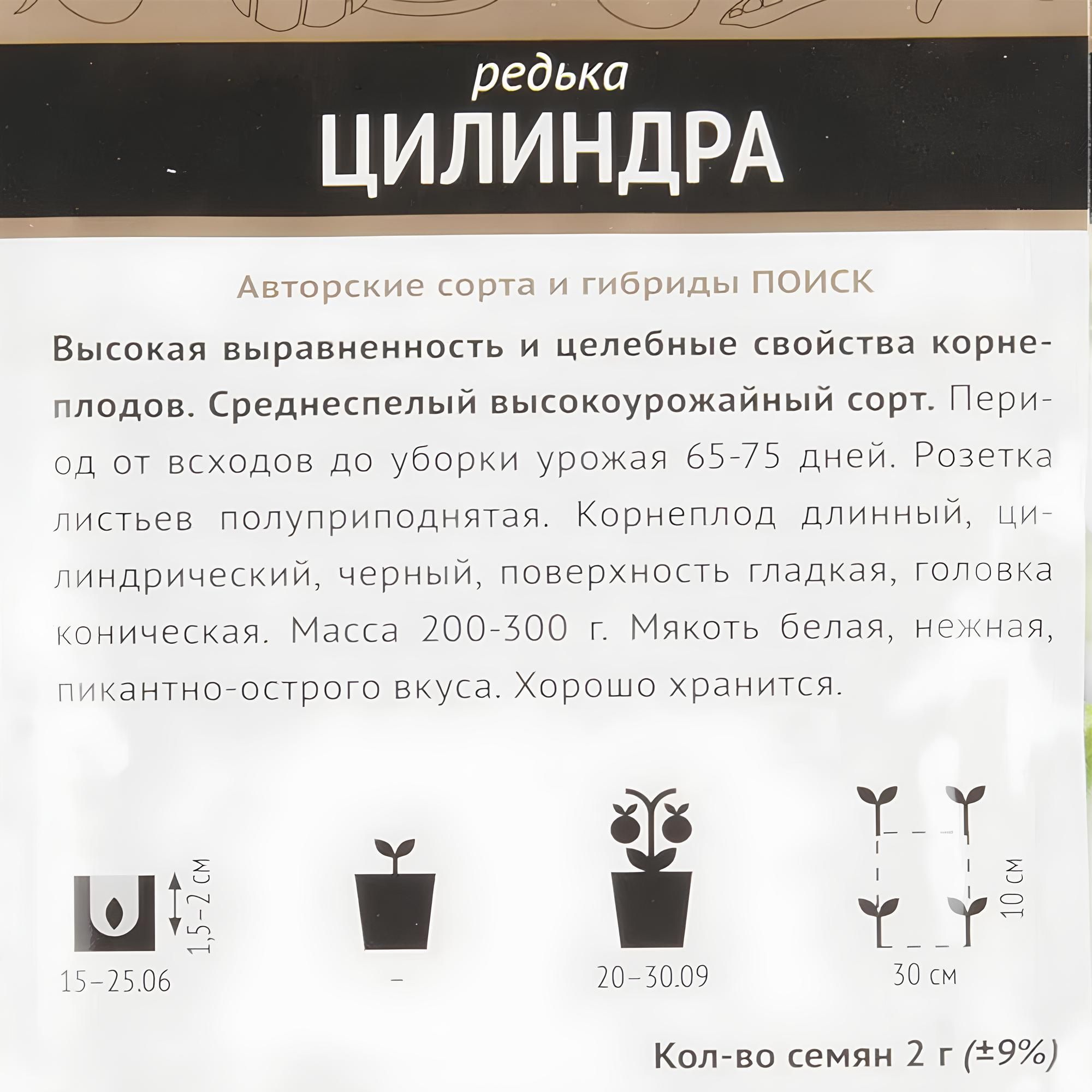 Редька Цилиндра (А) ц/п