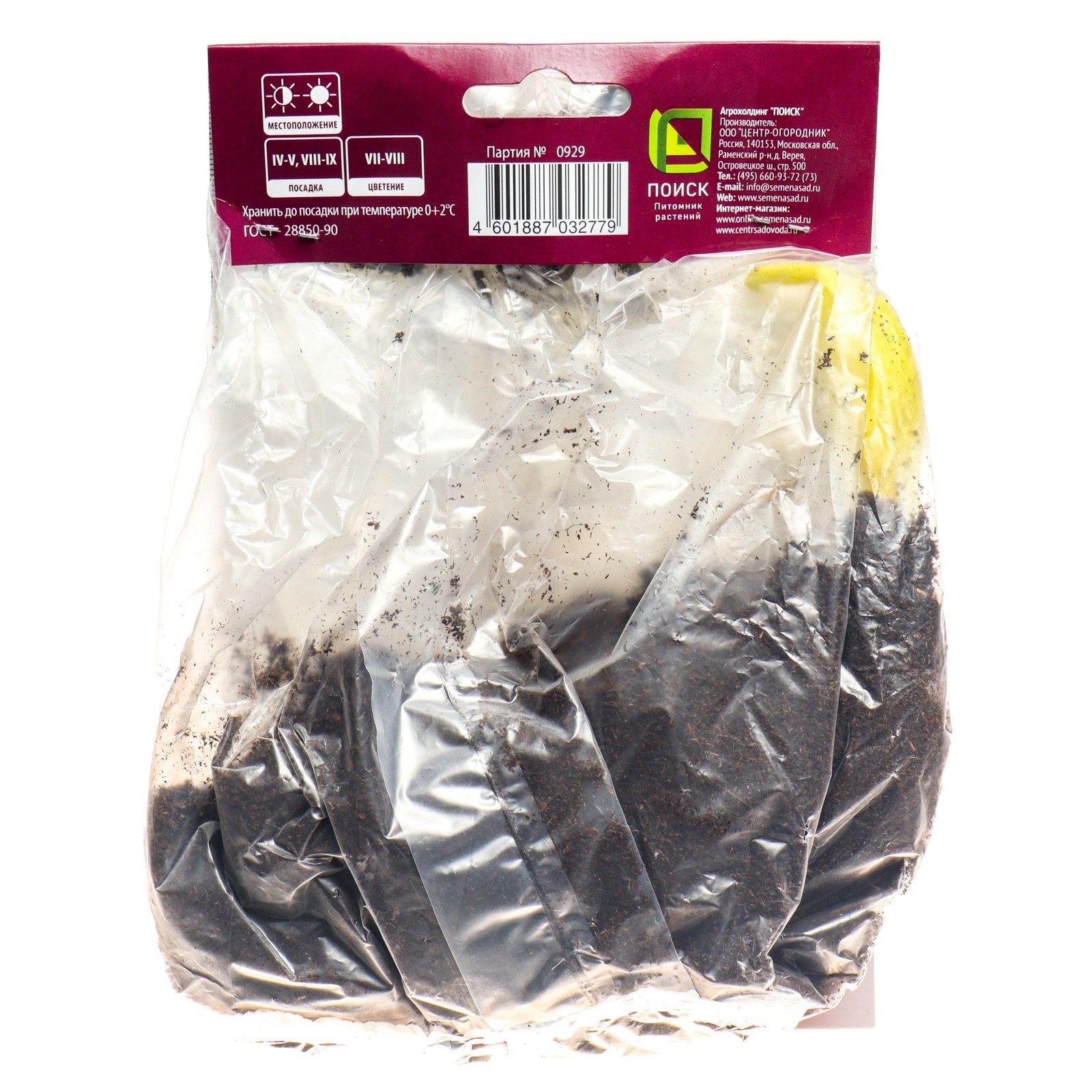 Хоста гибридная Вайд Брим/К