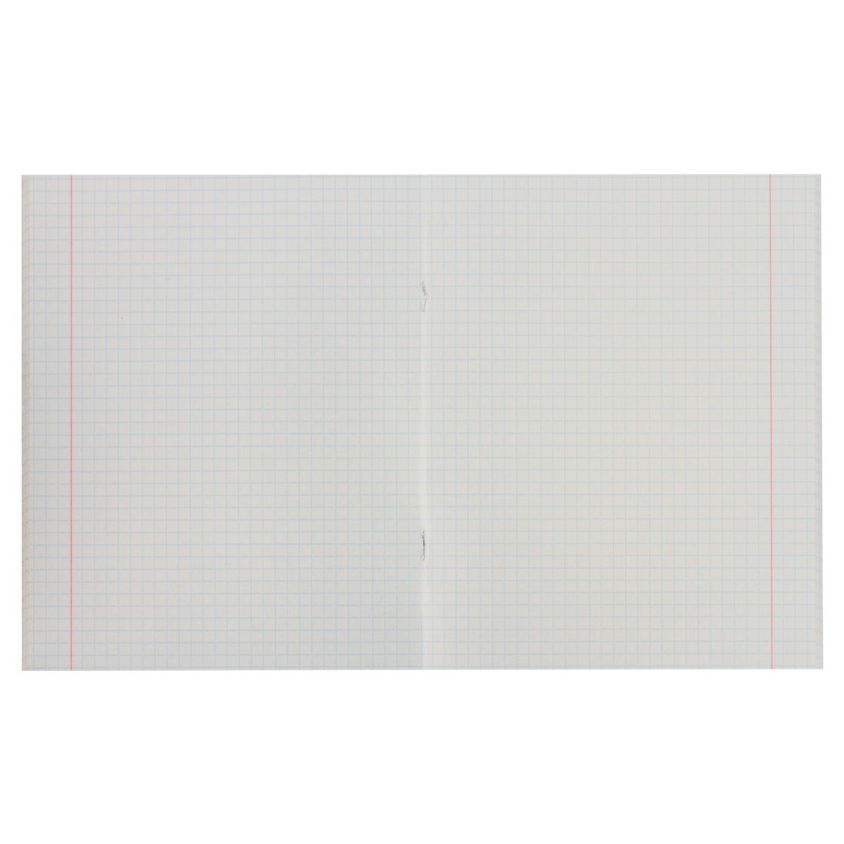 Тетрадь А5 Staff 48 листов клетка Фрукты №2 Эконом