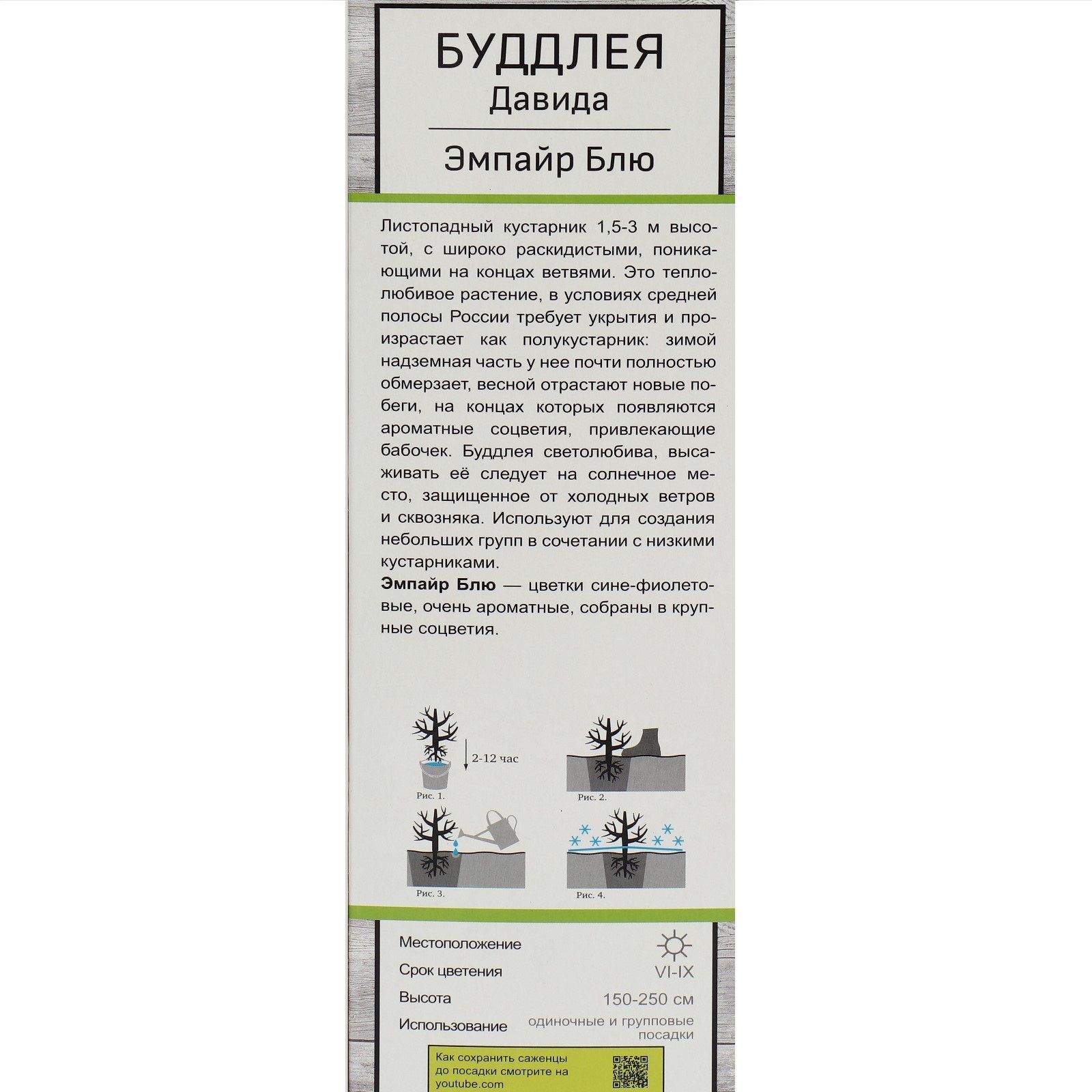 Буддлея Давида Эмпайр Блю ц/к