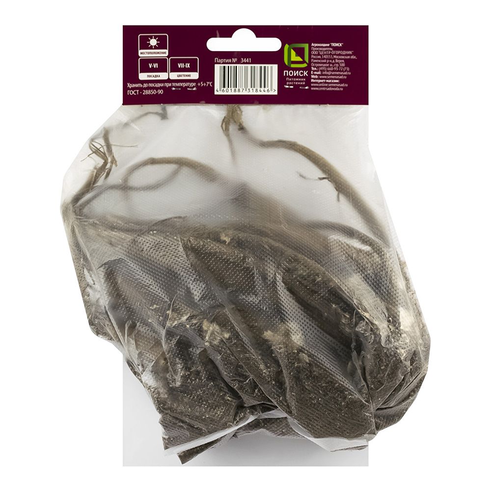 Георгина Литтл Тайгер I/К декоративная