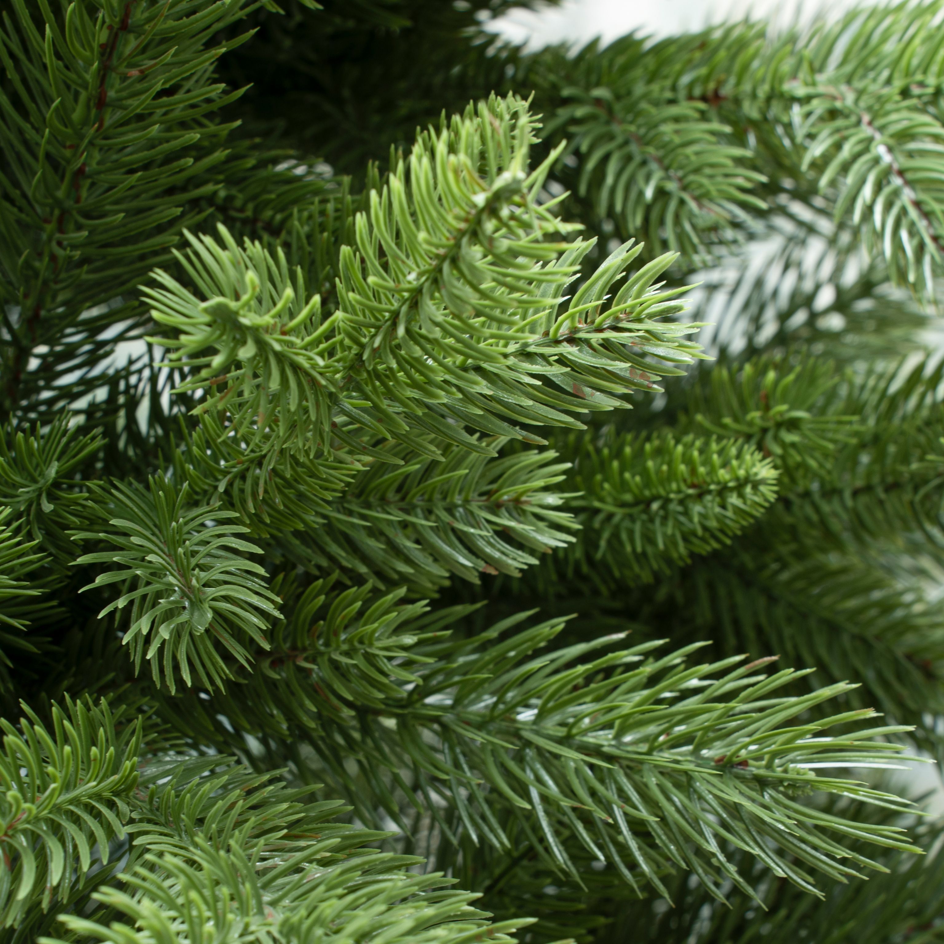 Елка искусственная Моя Елочка Статная 210 см литая 10922-9058