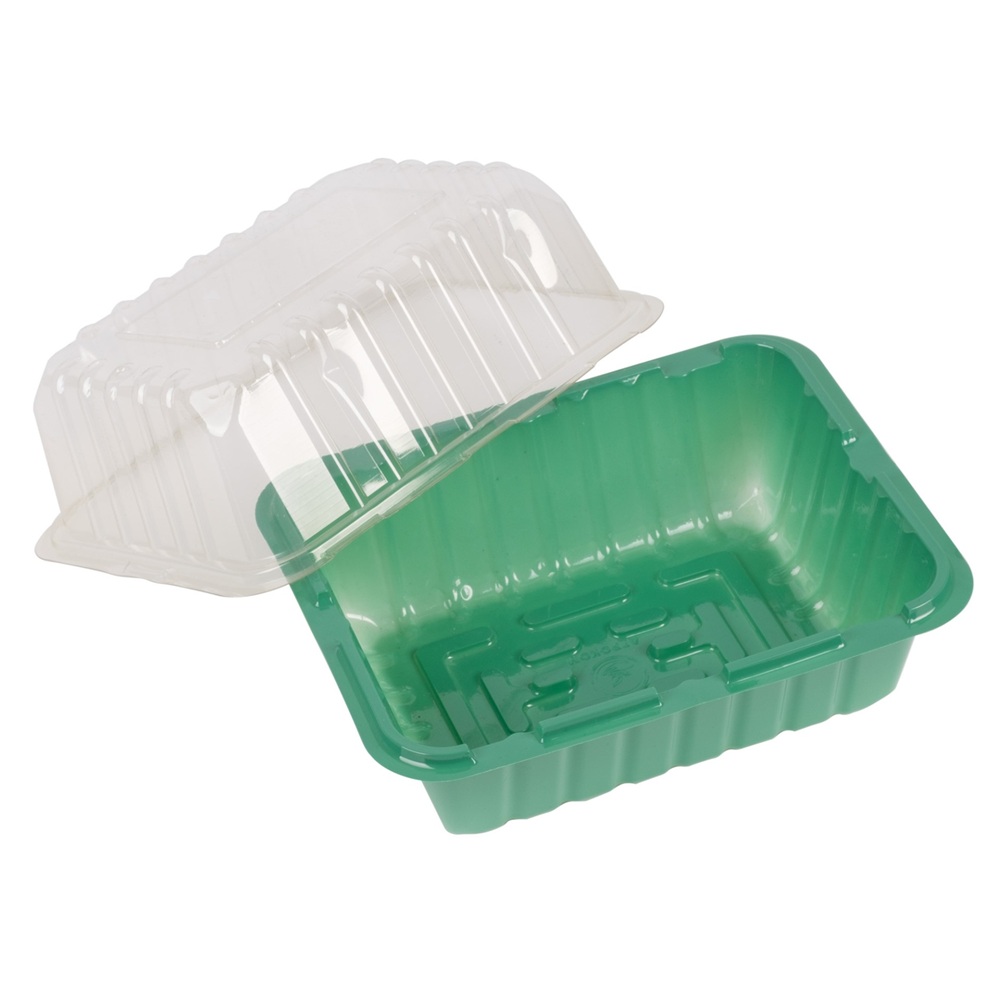 Мини-парник для рассады 1 место 21х16х6,5 см Агроком