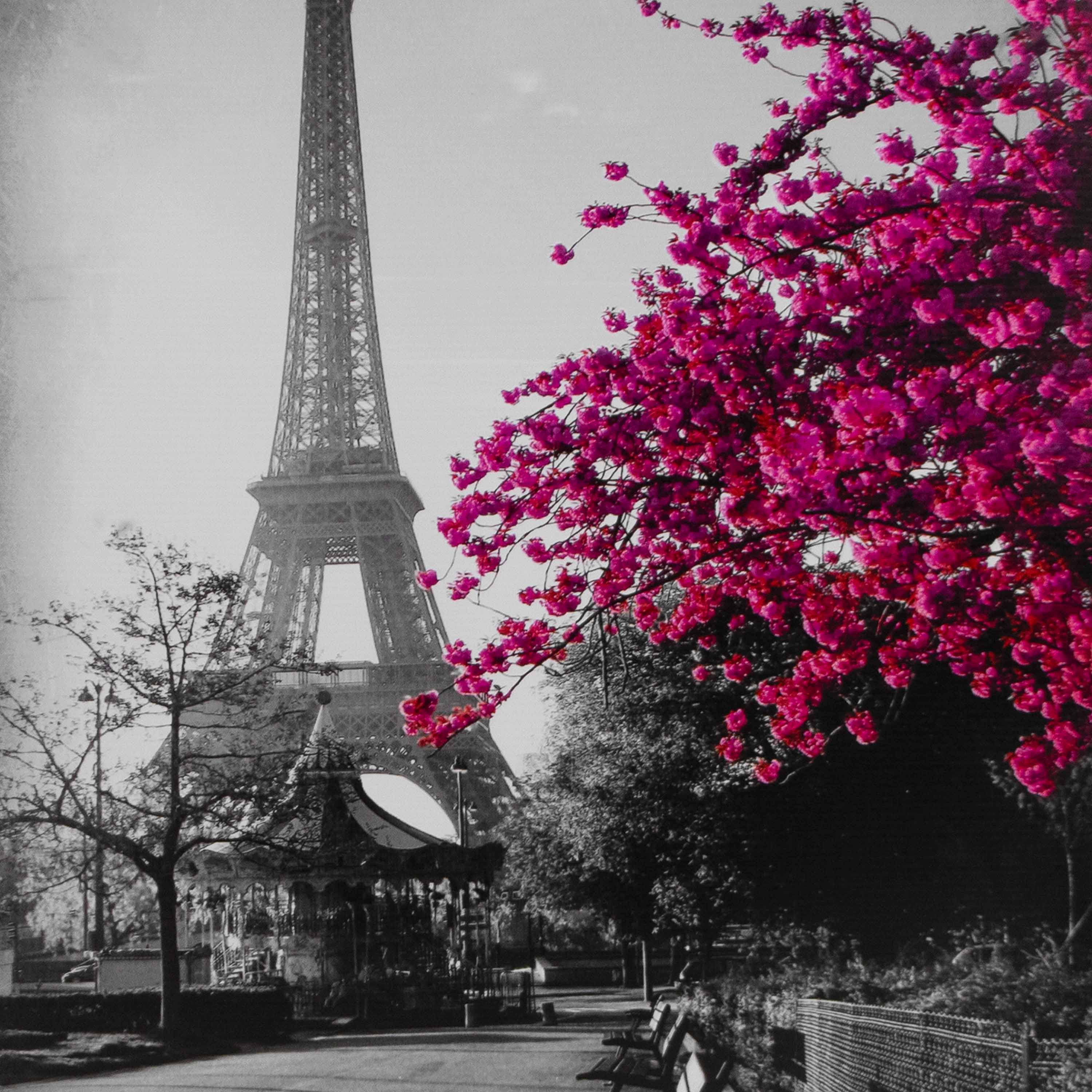 Холст S-4218H (50х70,75) Париж