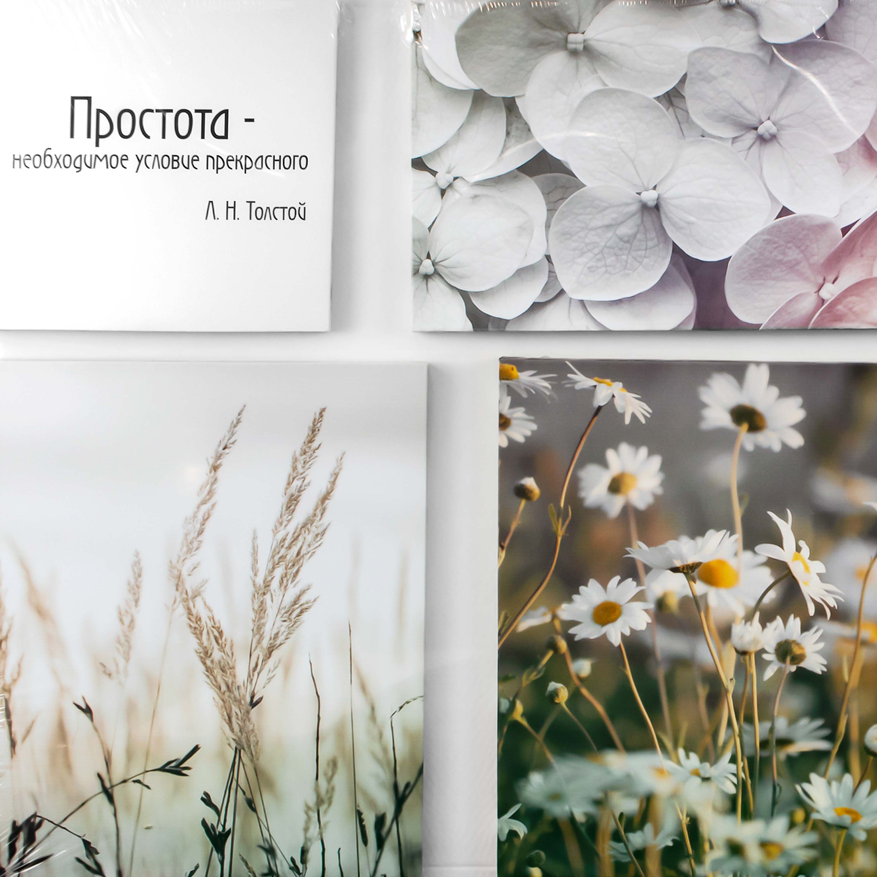 Картина модульная Простота S-0659 114х77 см 6 элементов