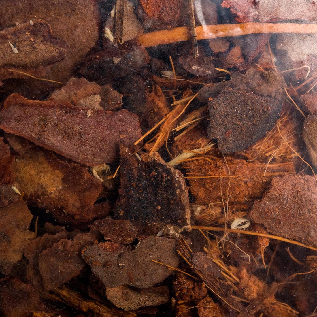 Субстрат для орхидей Профи 0,8/1 л