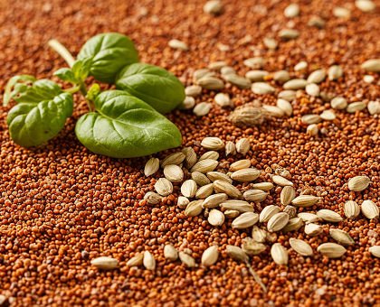 Семена и корневища