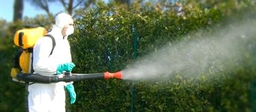 Средства для защиты от насекомых и грызунов