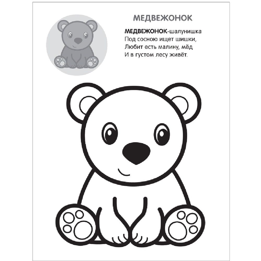 Раскраска с наклейками раскрась по образцу в лесу