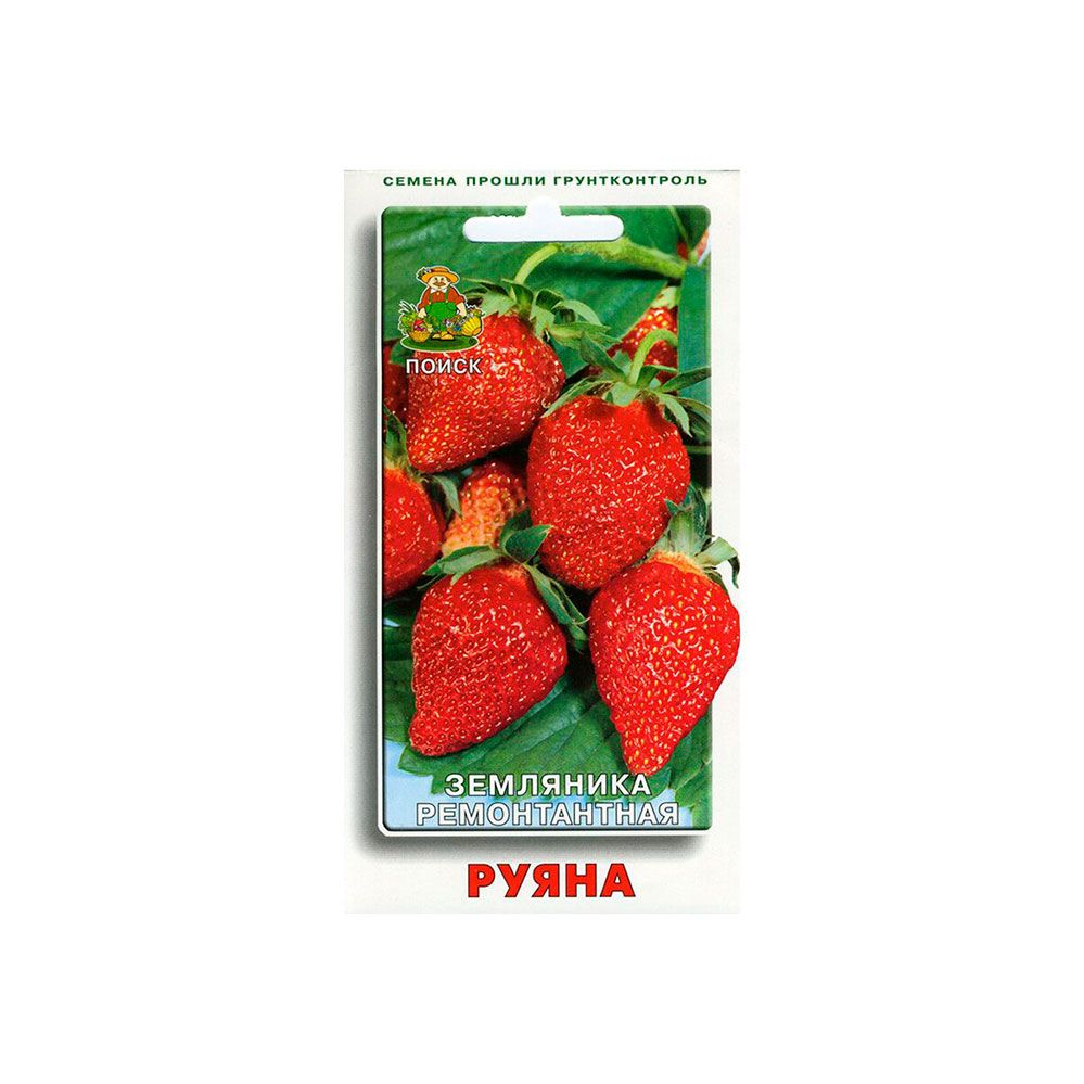 Земляника ремонтантная Руяна драже
