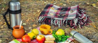 Посуда для пикника