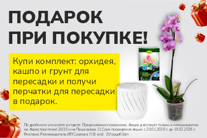 Подарок при покупке комплекта