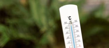 Термометры