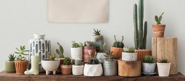 Горшки и кашпо для цветов