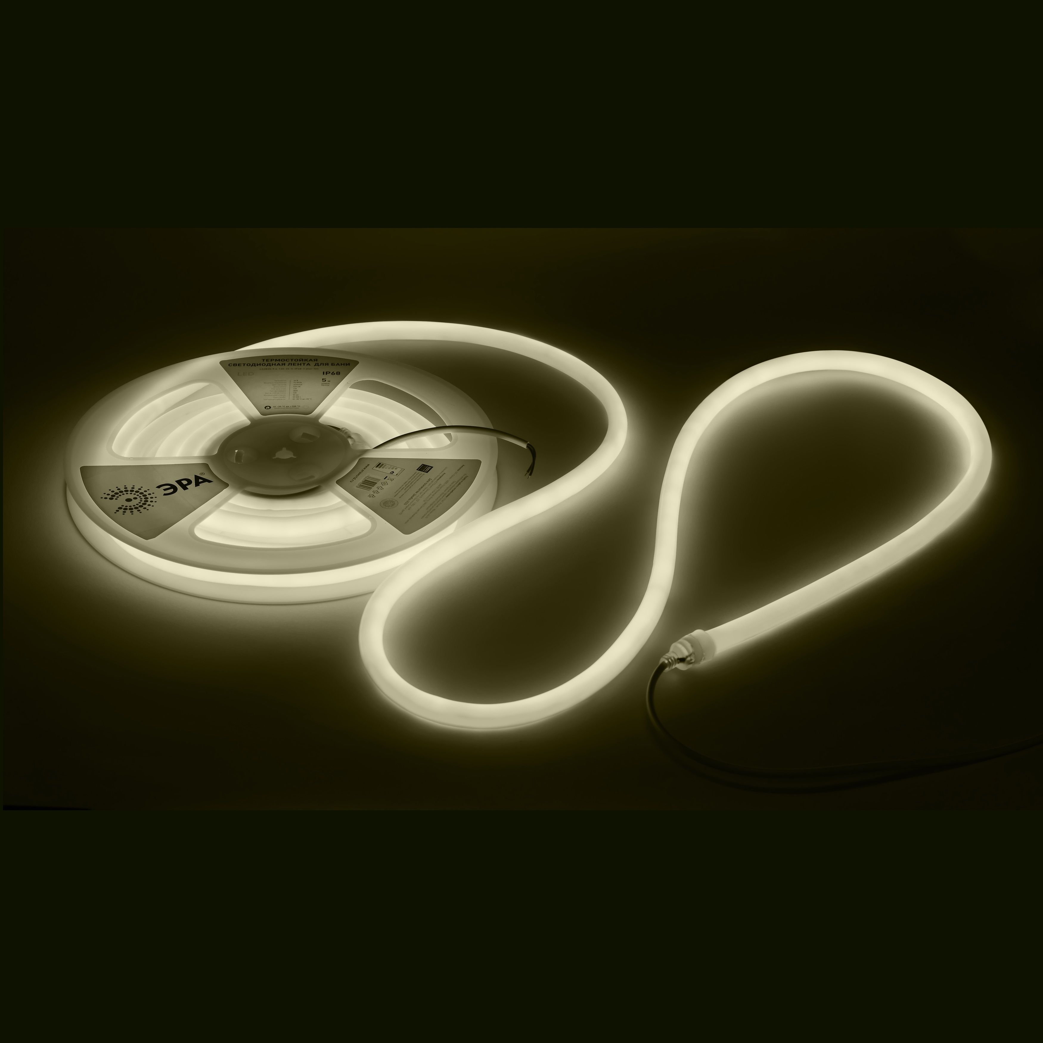 Лента светодиодная термостойкая Эра LED LS2835-9,6-120 24В 3000K IP68 5 м теплый белый