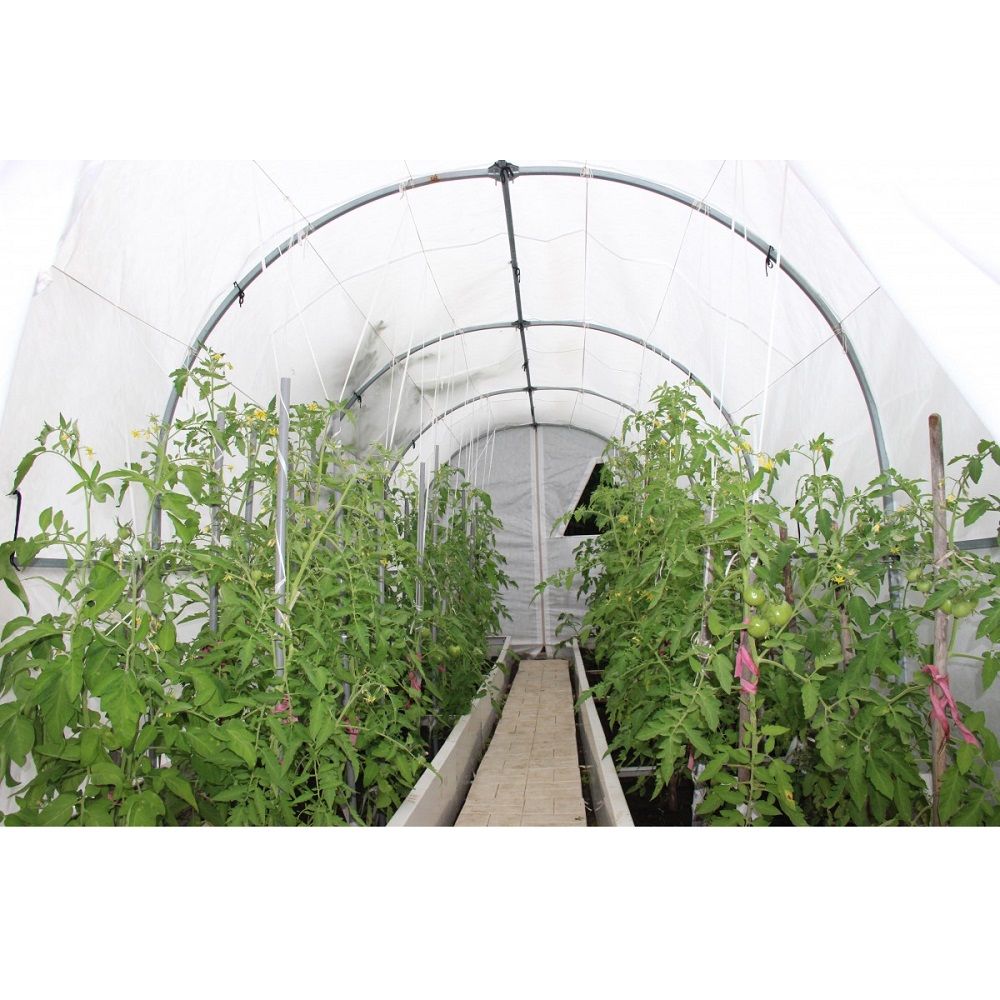 Теплица Снежная 7,5 м