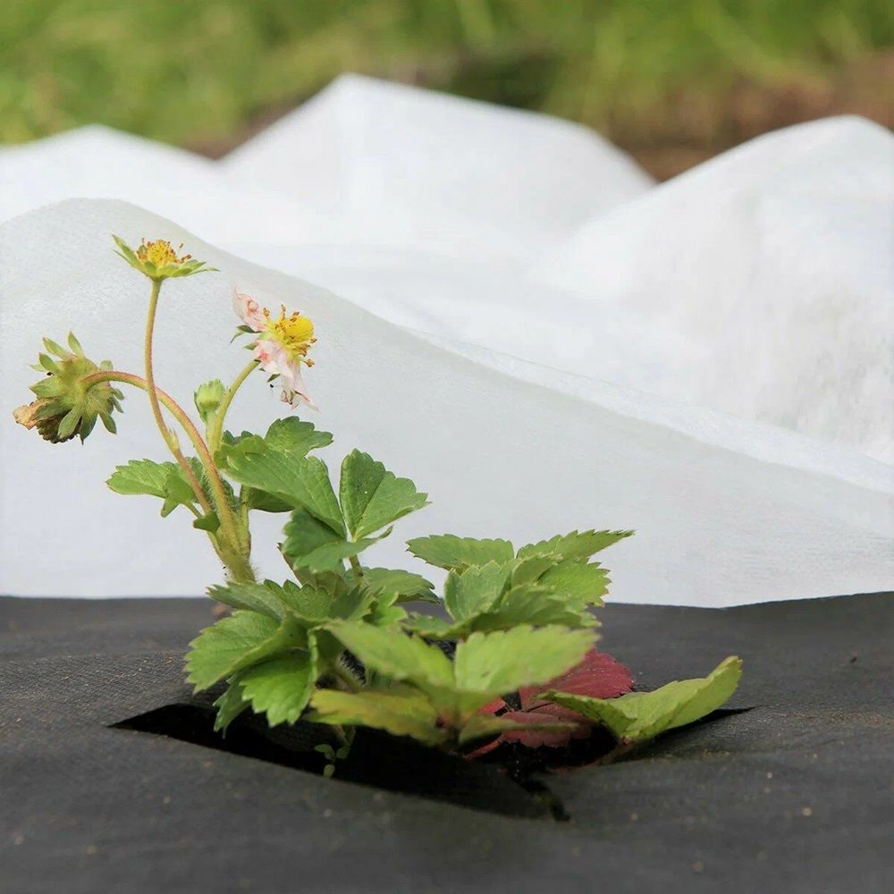 Укрывной материал 100 г/м2 1,6х50 м Геотекстиль+ черный