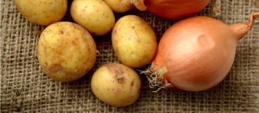 Лук севок и картофель семянной