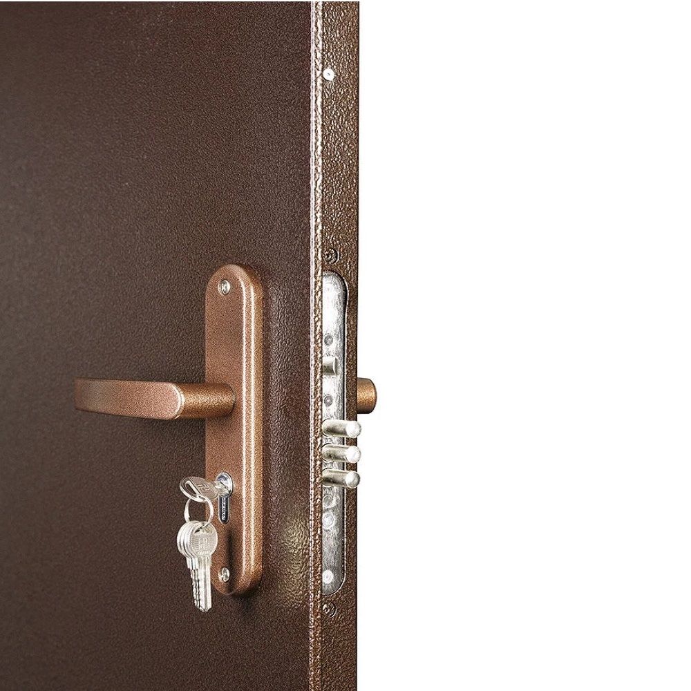 Дверь металл Профи антик медь металл-металл 960х2050 мм L