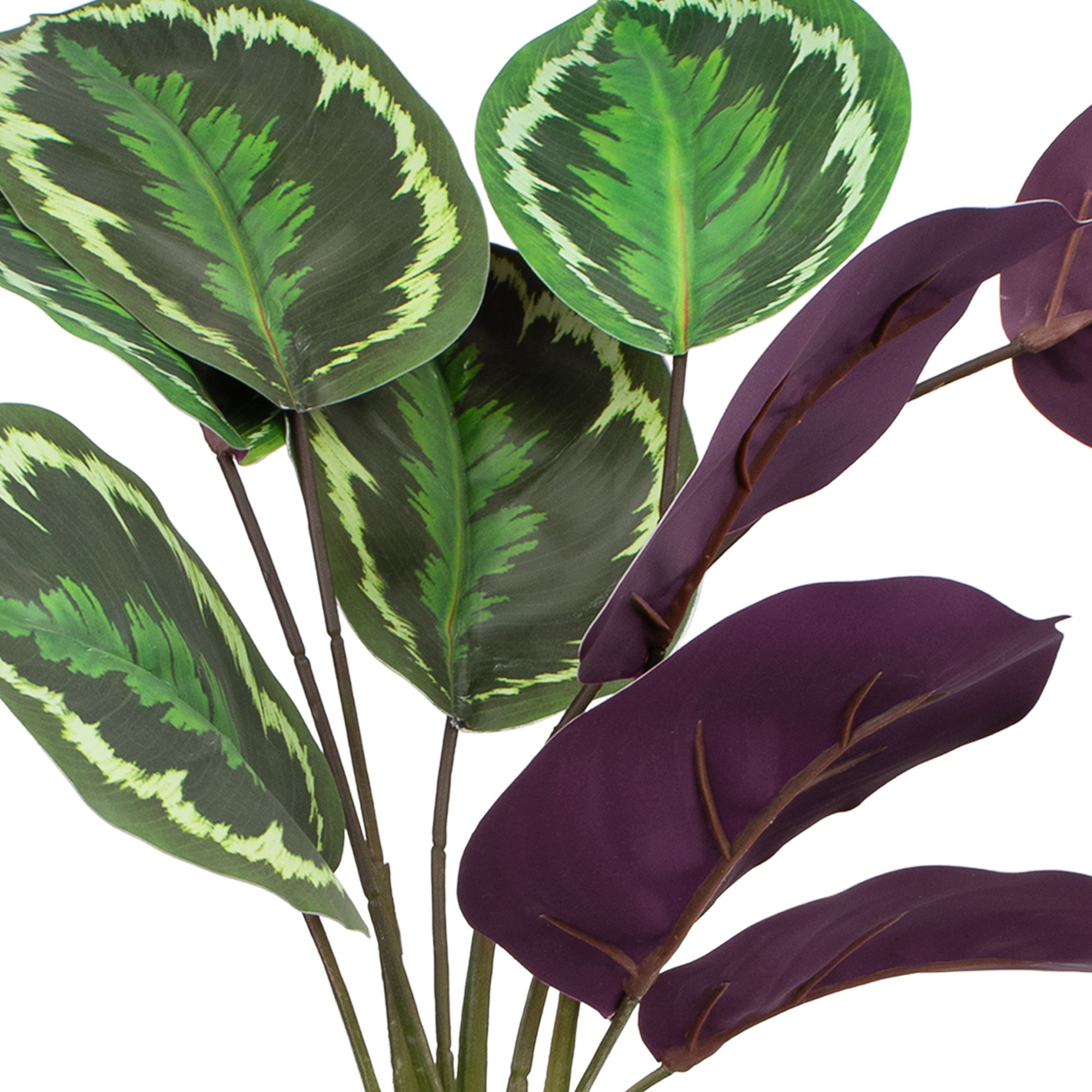 Растение искусственное Калатея с корнями 47 см зеленый