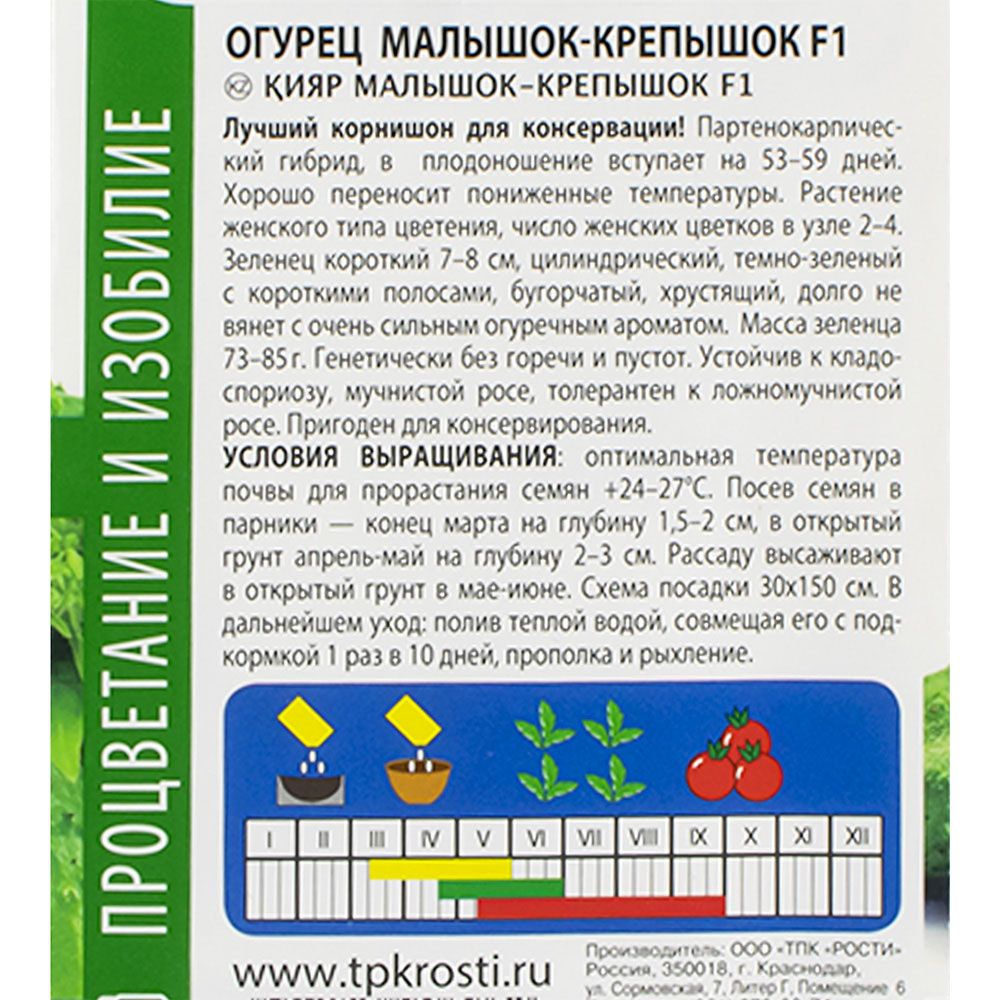 Огурец Малышок-Крепышок F1 ранний