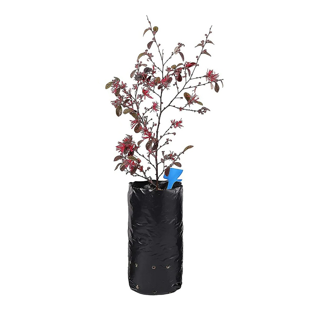 Пакет для рассады 3 л 27х35 см