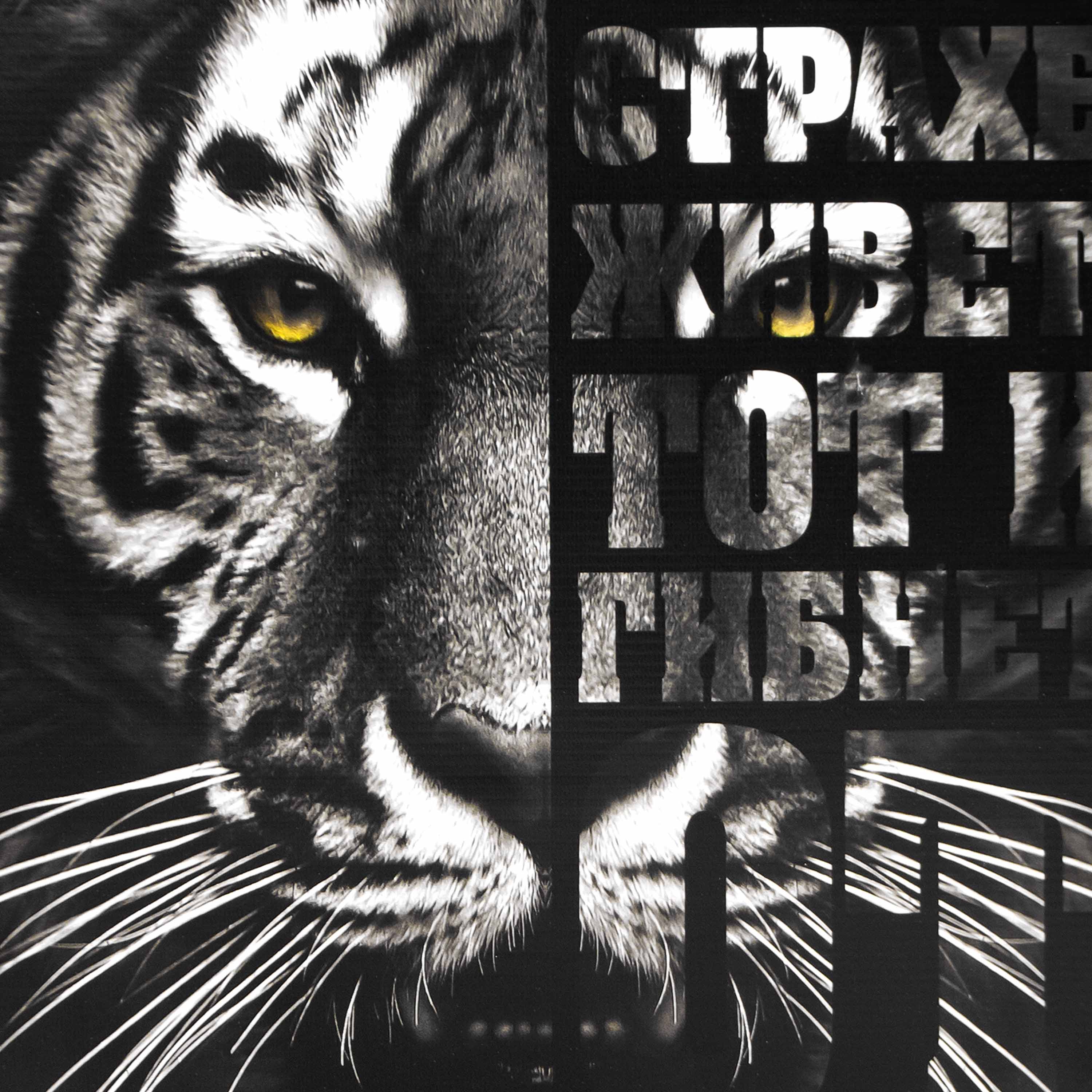 Картина-холст Н-1617S (48*39) Тигр