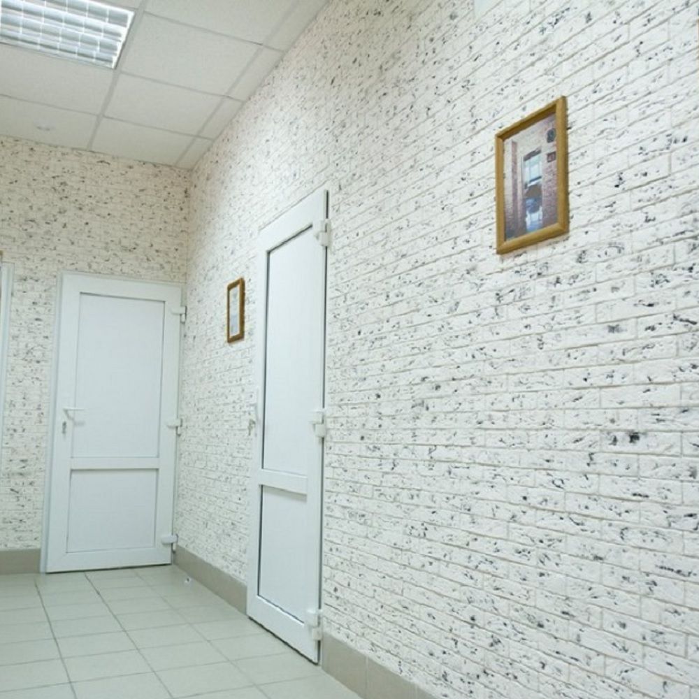 КАМЕНЬ Старый кирпич 420 гипс (0,5/70м2)