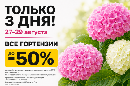Только 3 дня скидки на Гортензии!