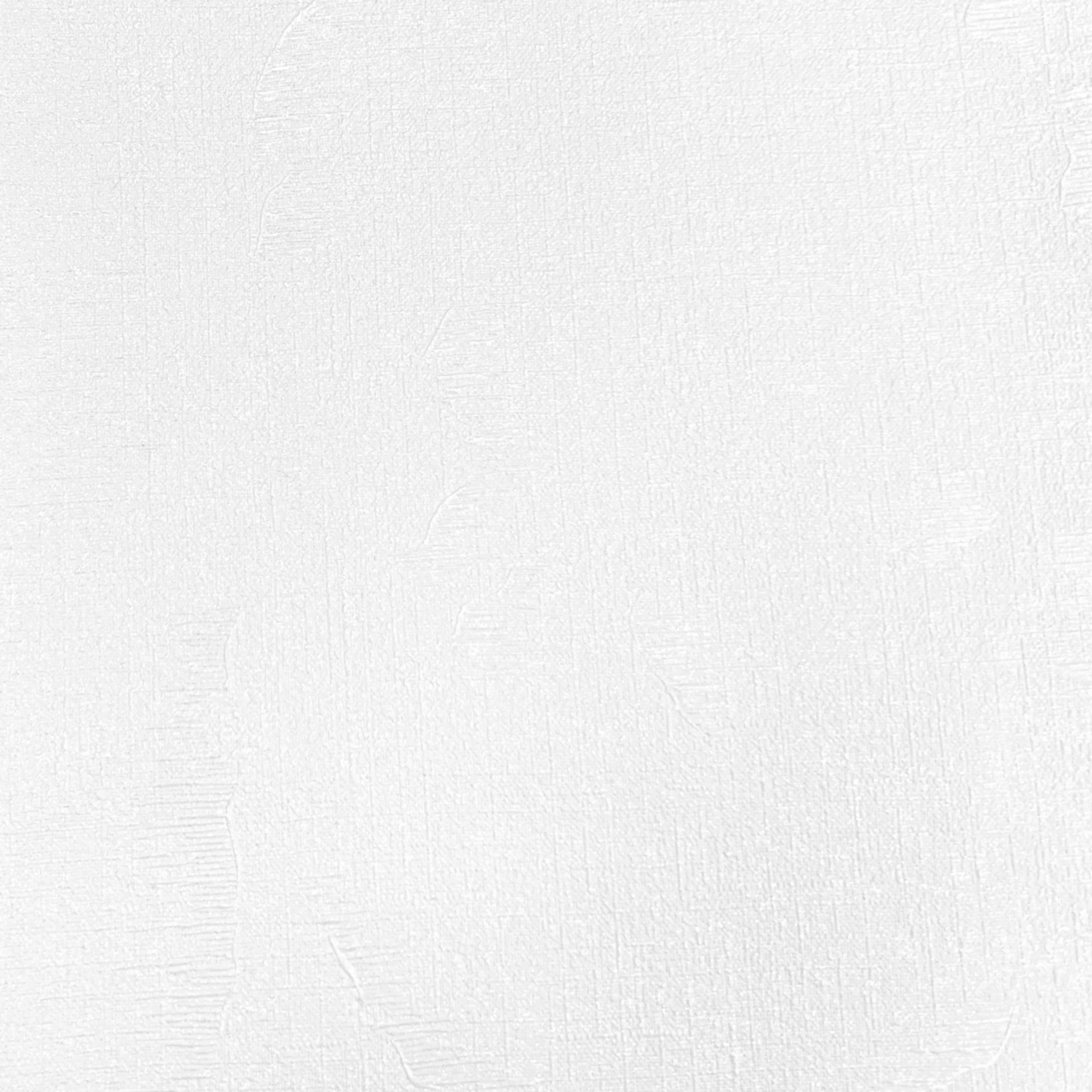 Обои Erismann Vesna 60756-06 белые однотонные 1,06х10,05 м