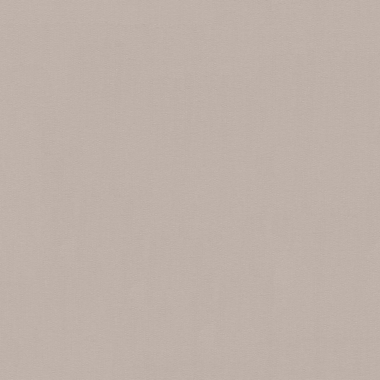 Обои Palitra Trend Collage TC72575-42 темные бежевые однотонные 1,06х10 м