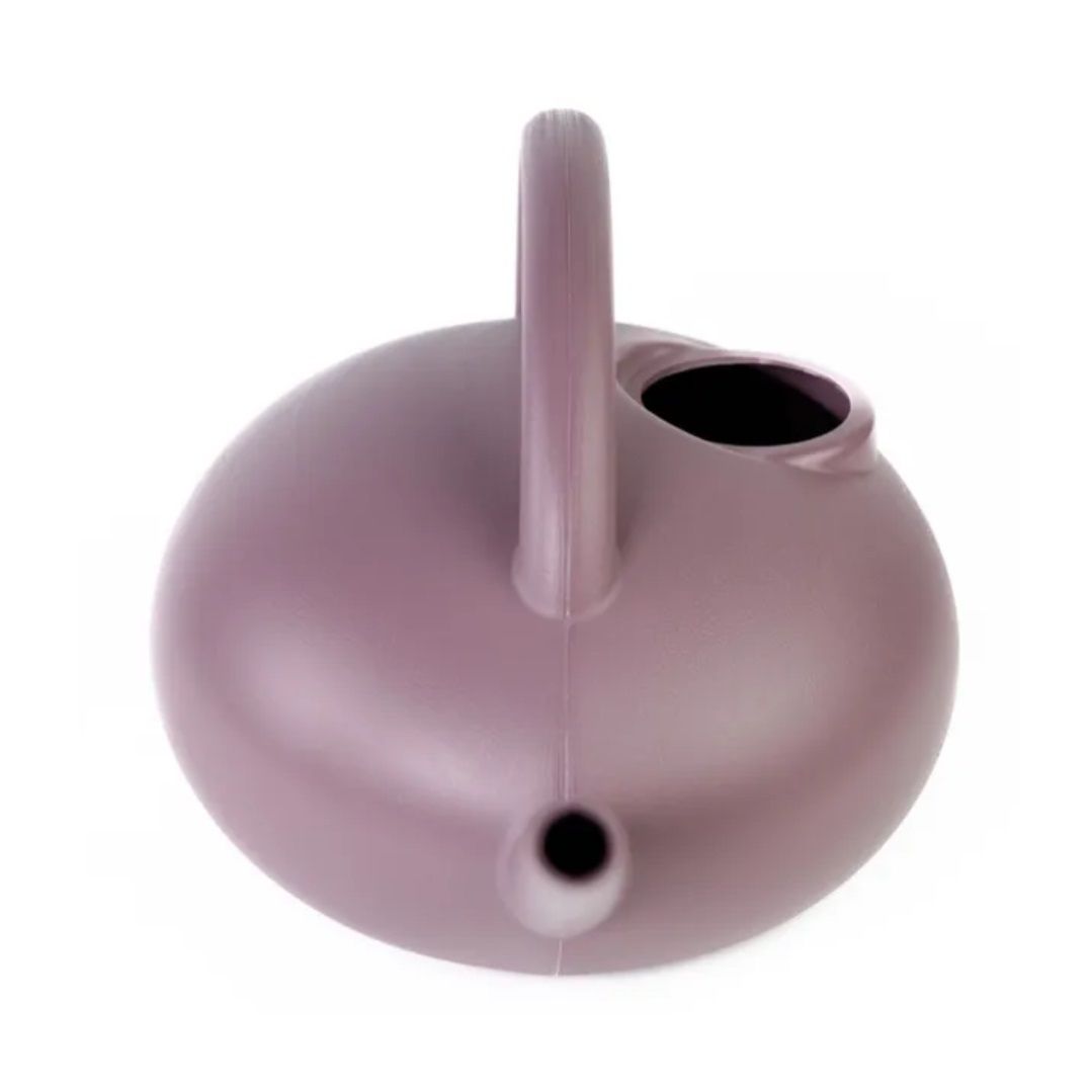 Лейка Анри 3 л инжир