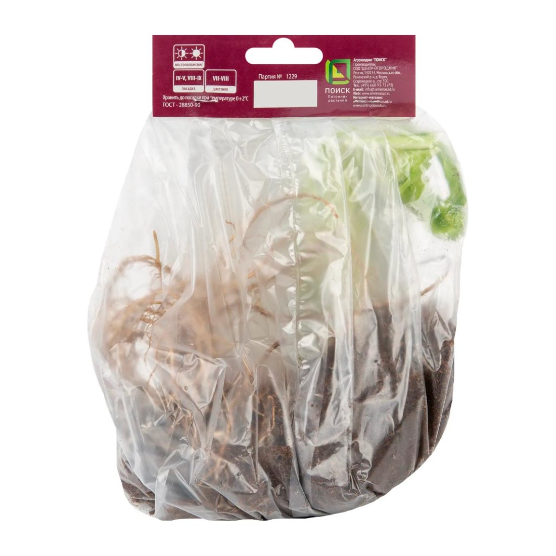 Хоста гибридная Диана Ремемберед коробка