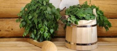 Веники для бани и сауны