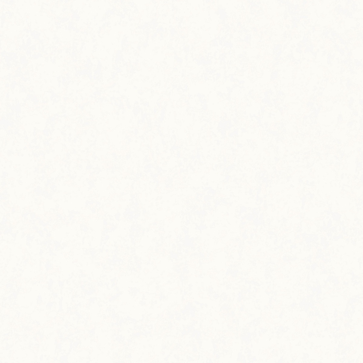 Обои NewAGe Giulietta NA9029-11 белые штукатурка 1,06х10,05 м